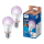 Inteligentne oświetlenie Philips Smart żarówka 100W A60 E27 2 szt.